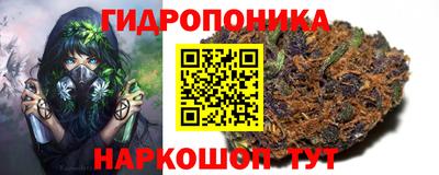 гидропоника Уссурийск