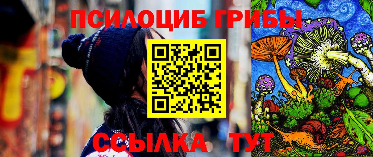 Трёхгорный  Псилоцибиновые грибы Psilocybe  Вход с VPN  Галлюциногенные грибы прущие грибы 
